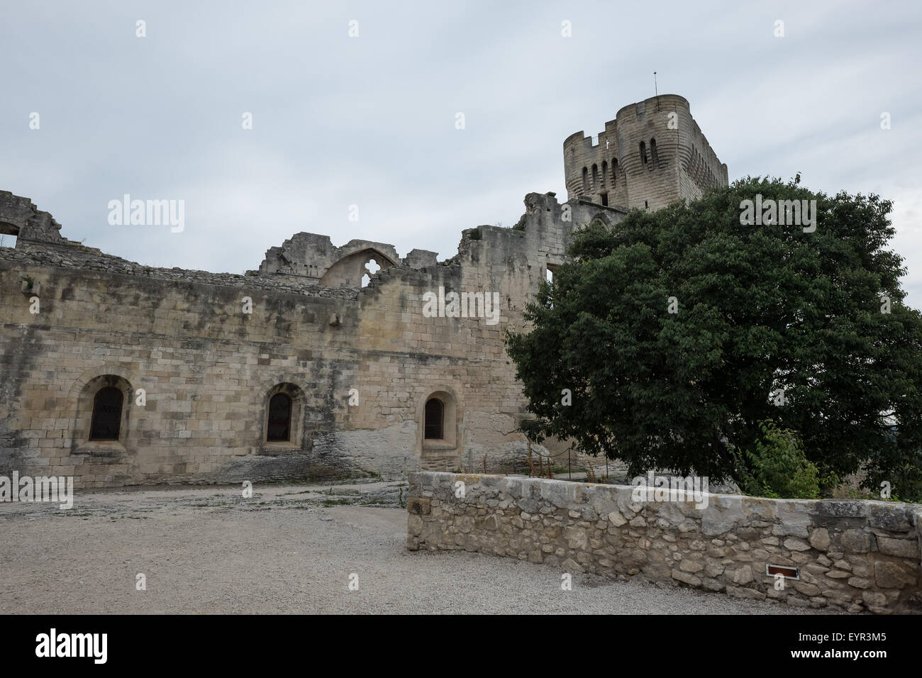 Abbaye de Montmajour Stock Photo Alamy