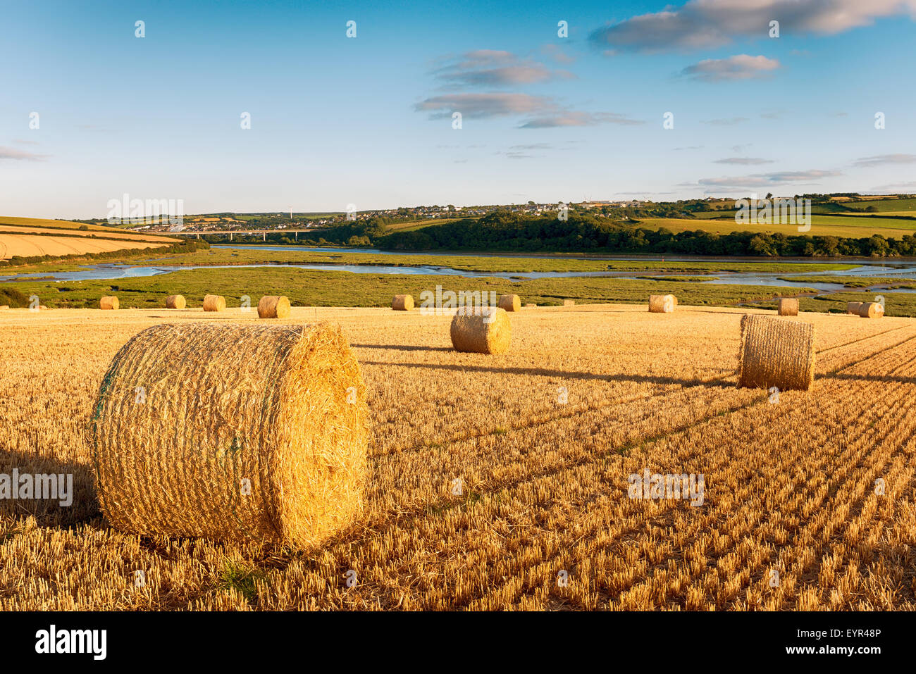 Hay bales drying above the Camel River at Wadebridge in Cornwall Stock Photo
