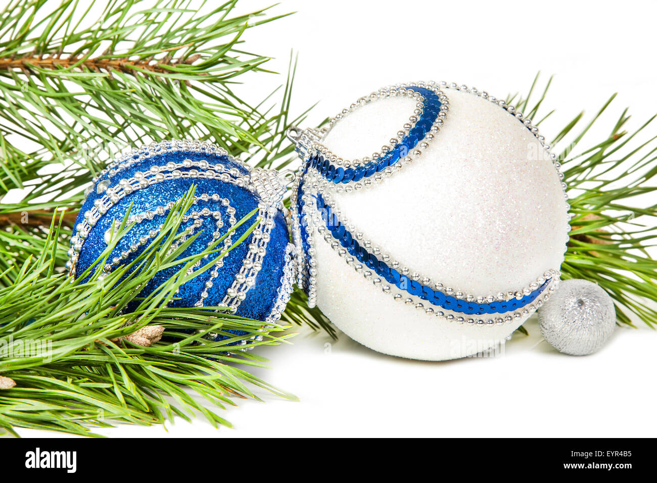 Christmas spruce and blue with white glitter balls isolated Stock Photo ...