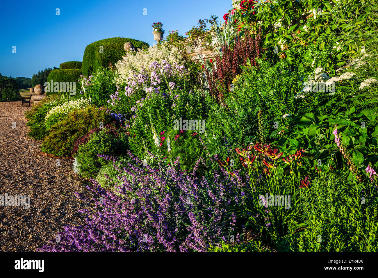 Herbaceous border below the terrace of Bowood House in Wiltshire. Stock Photo