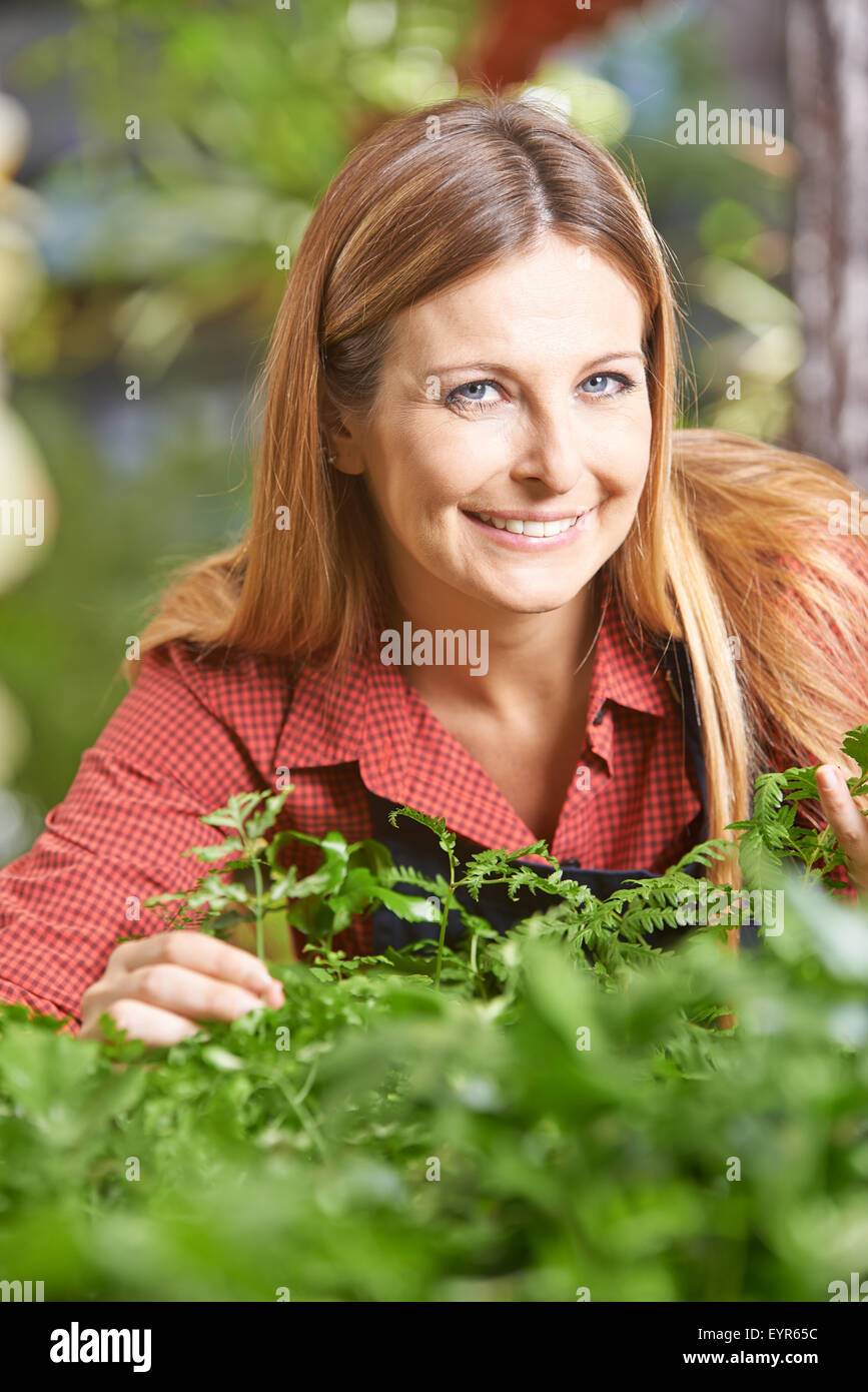 Smiling female gardener controlling growth of plants Stock Photo - Alamy