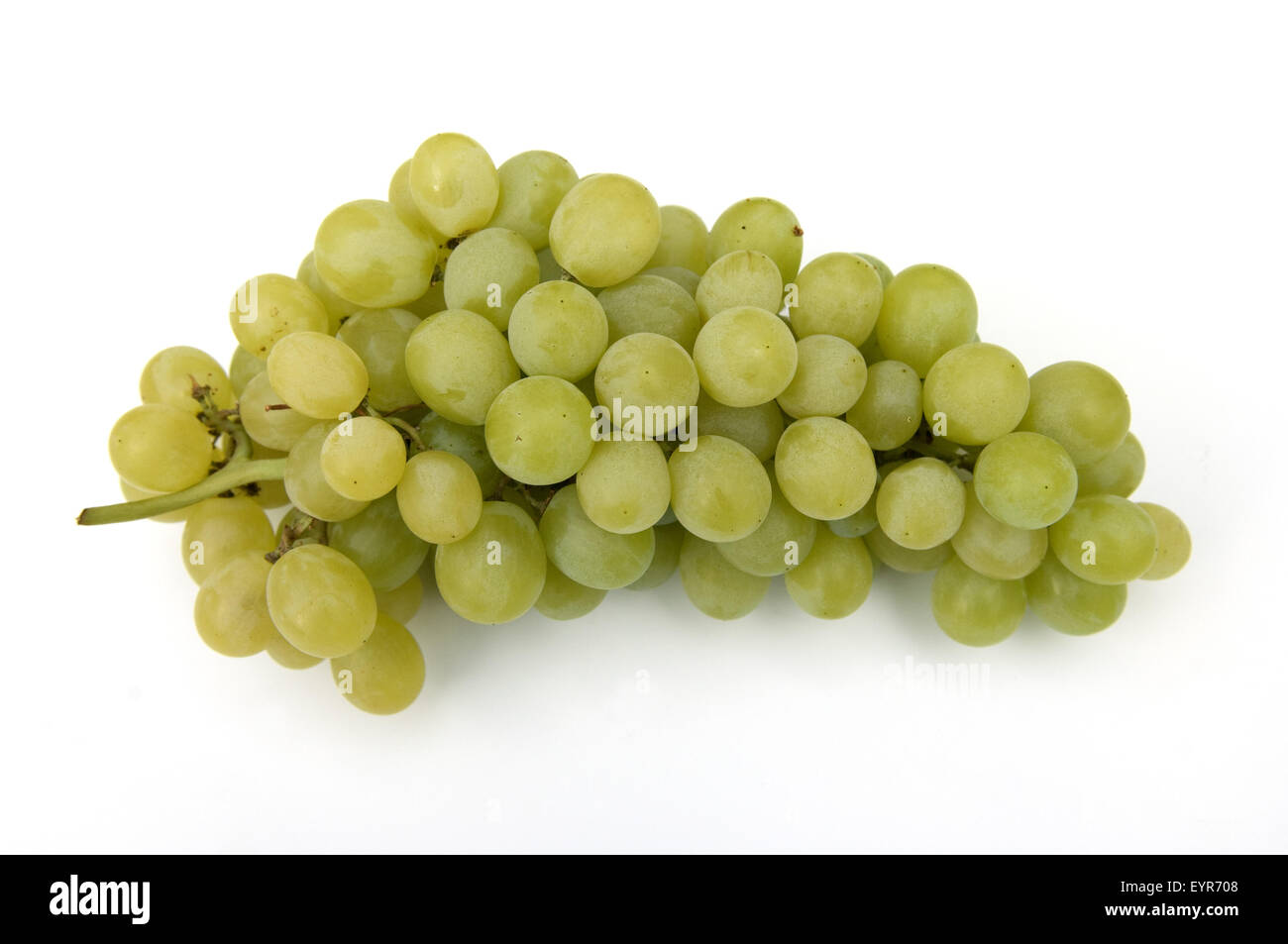 Weisse Weintrauben, Wein, Weinpflanzen, Reben, Fruechte, Beeren, Obst, Stock Photo