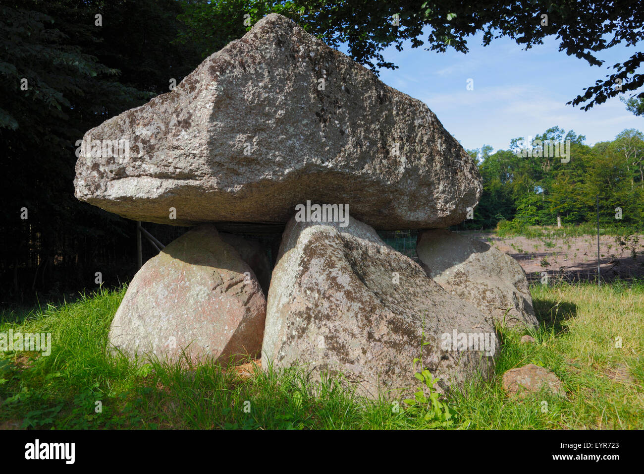 The Groennesse Dolmen Karlsstenen - Karl's Stone or Carl's Stone - Neolithic - in the Groennesse Woods about.4 km east of the town centre of Hundested Stock Photo