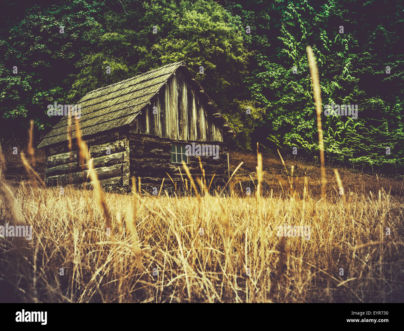 Rustic Old Farm Building Or Barn In A Field Of Grass Stock Photo
