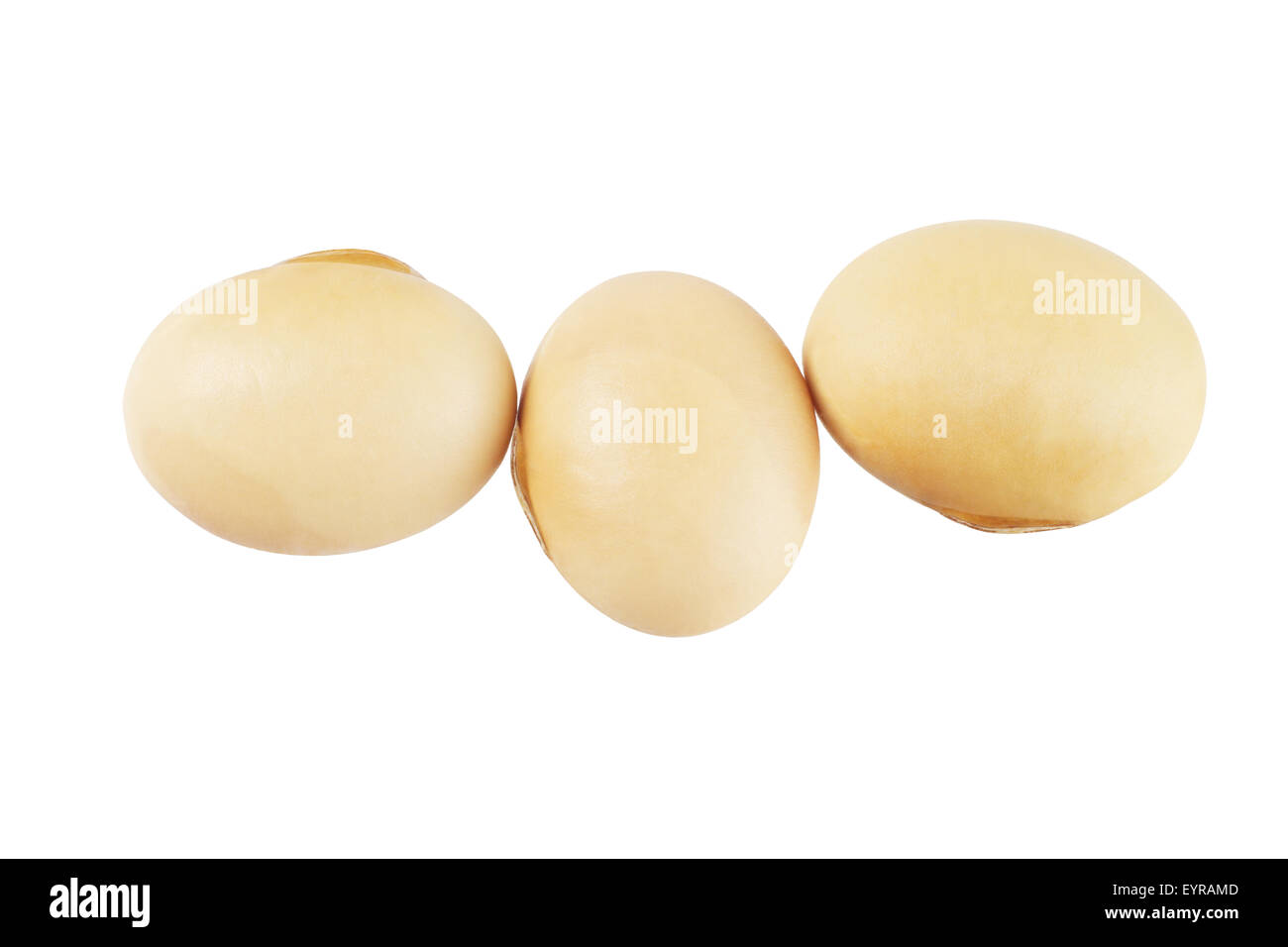 Row of Three Soy Beans on White Background Stock Photo