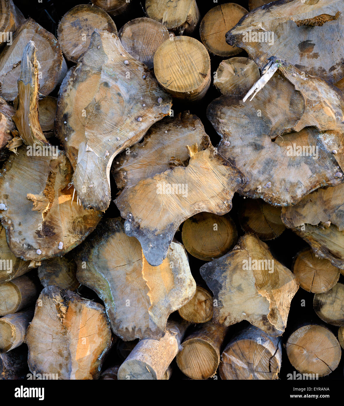 Backgrounds and textures: stack of wood, timber industry or nature abstract background Stock Photo