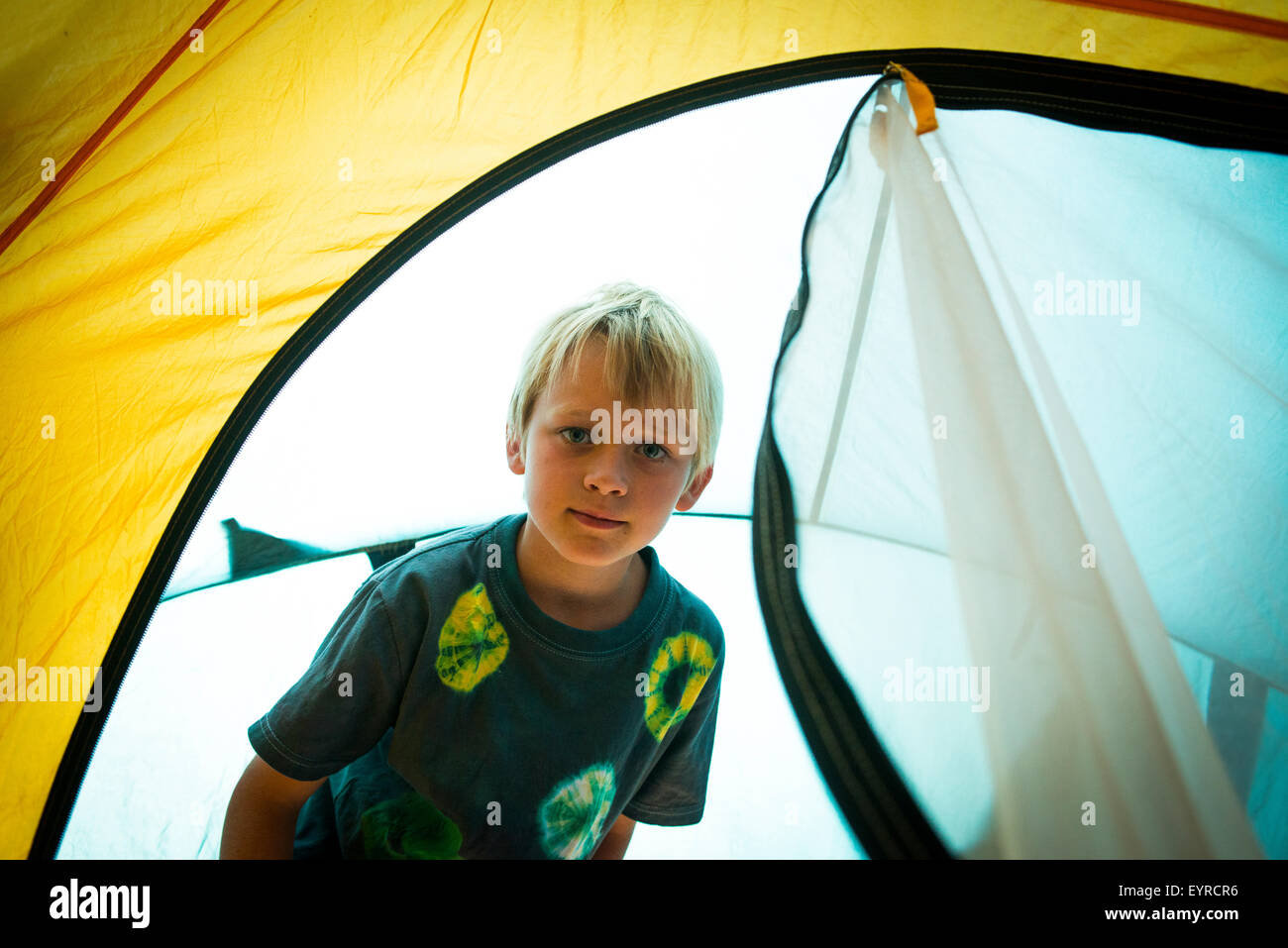 Child blond boy peeking, looking, poking into tent out of zipped entrance Stock Photo