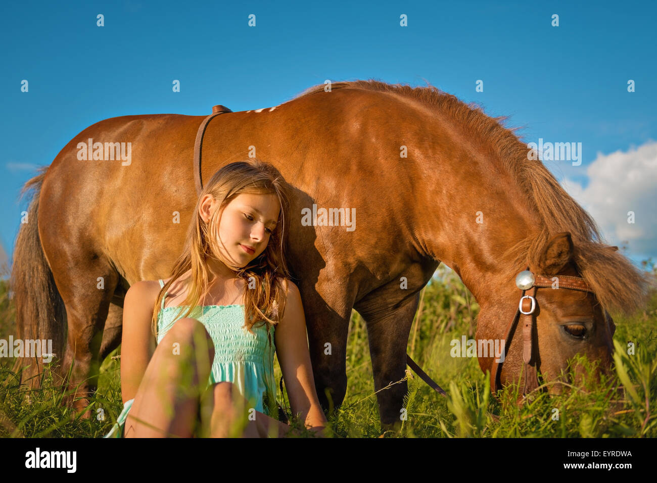 Portrait of a beautiful girl with a horse on nature Stock Photo