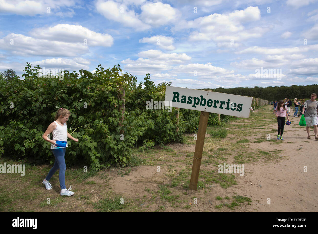 Garsons farm hires stock photography and images Alamy