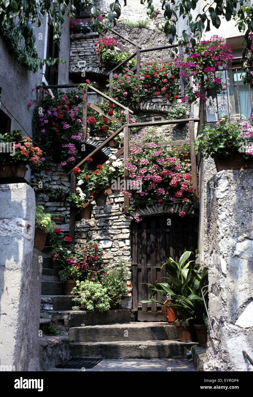 Blumen auf Treppe; Treppe Stock Photo