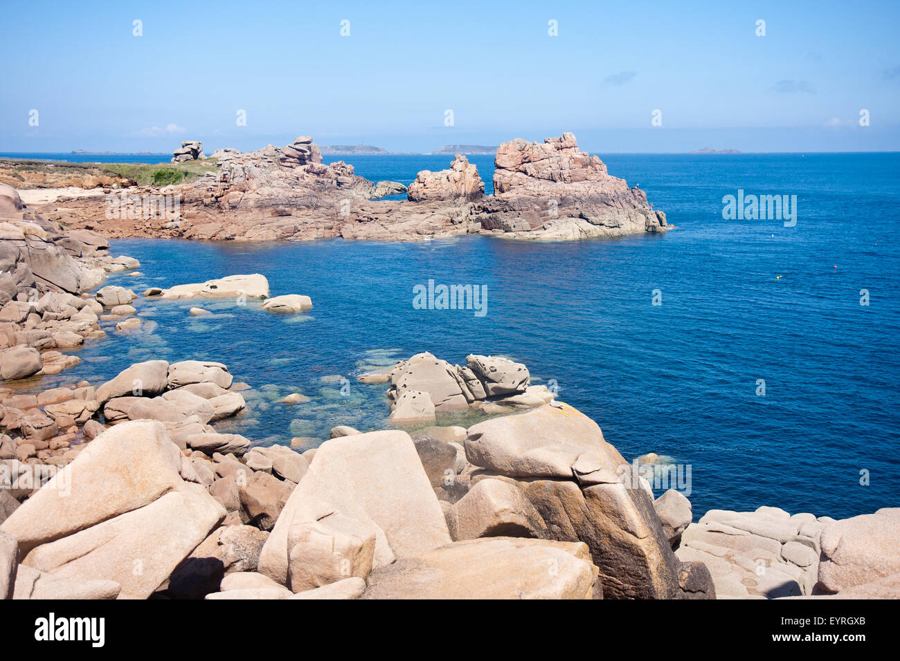 Brittany coast wild flowers hi-res stock photography and images - Alamy