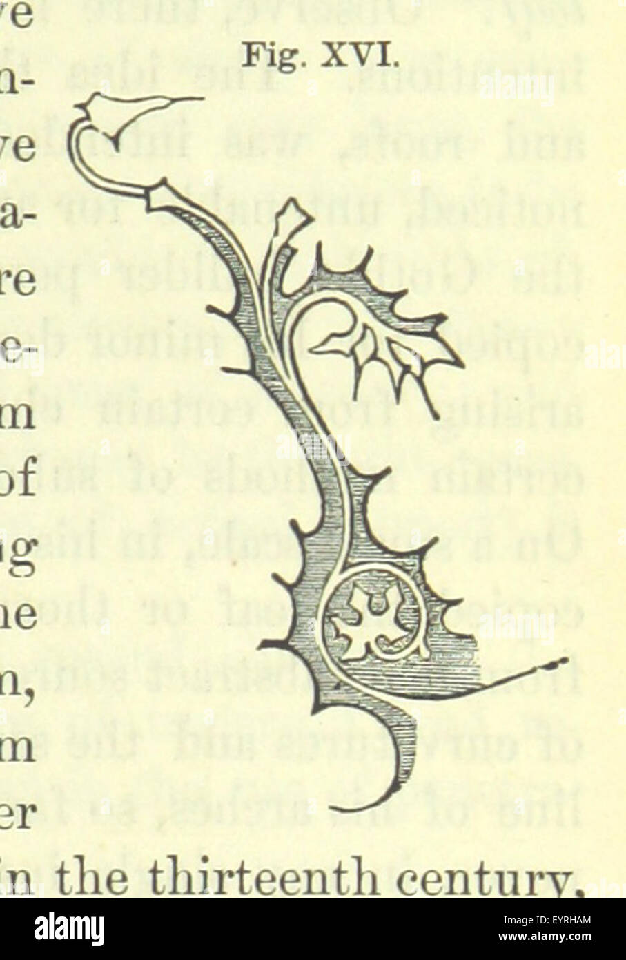 Image taken from page 77 of '[Works. Popular edition.] 2 series' Image taken from page 77 of '[Works Popular edition] 2 Stock Photo