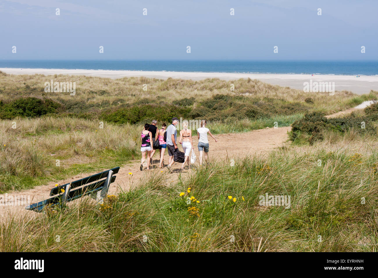 People walking to the Dutch sea Stock Photo - Alamy