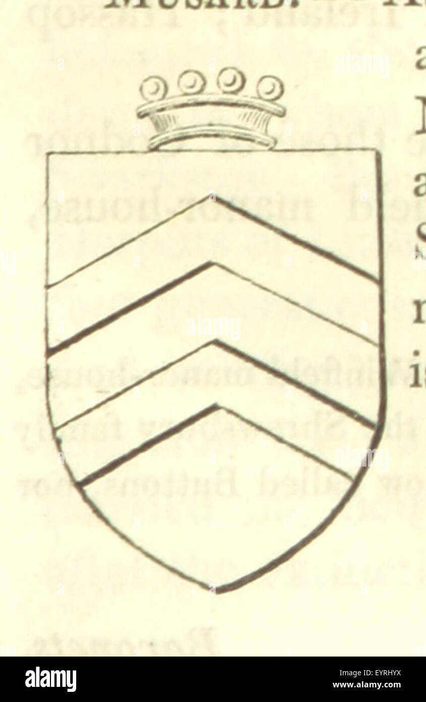 Image taken from page 79 of 'Magna Britannia; being a Stock Photo