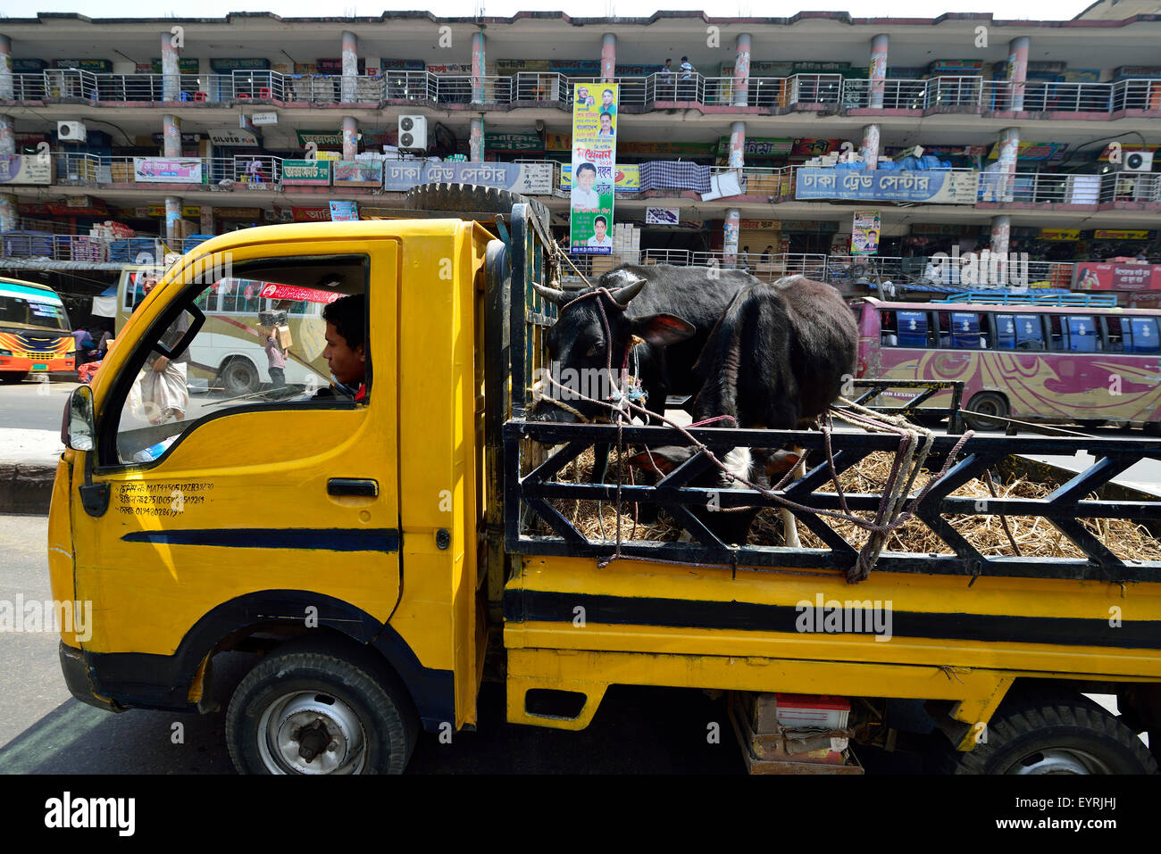 Animal transport hires stock photography and images Alamy