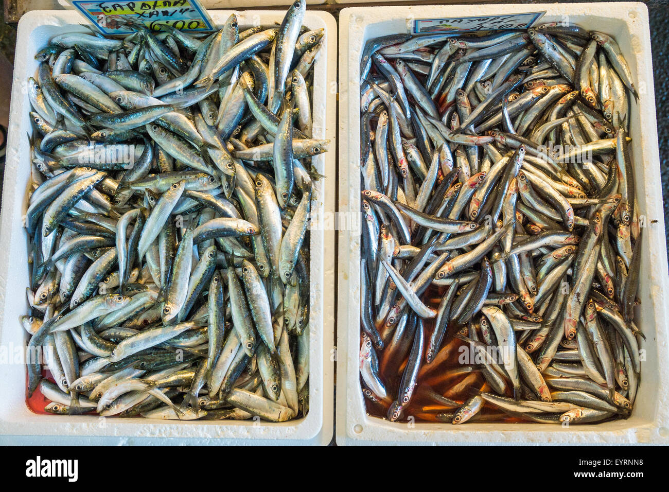 Anchovies for sale on the fish market Stock Photo Alamy