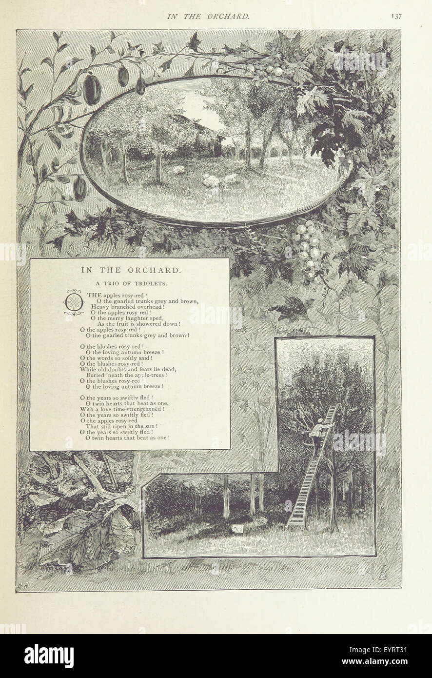 The Changing Year: being poems and pictures of life and nature. Illustrations by A. Barraud, etc Image taken from page 143 of 'The Changing Year being Stock Photo