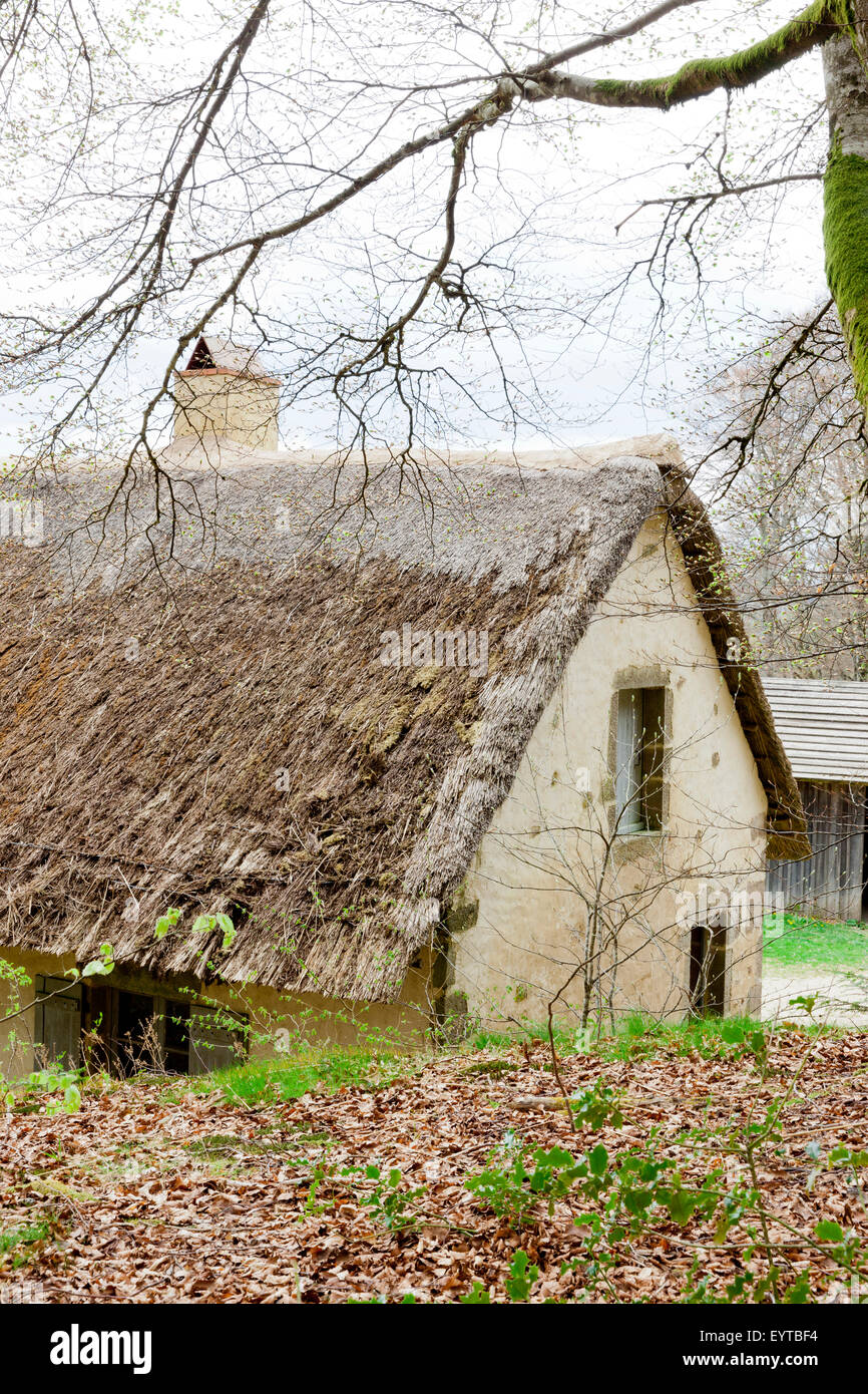 House with straw roof Stock Photo Alamy