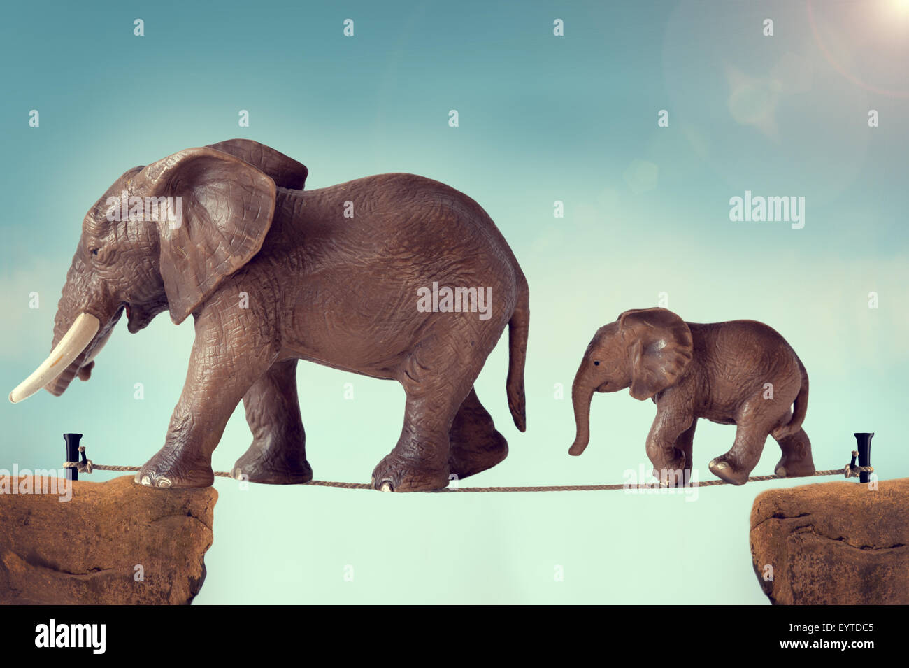 mother and baby elephant family balancing on a tightrope or highwire Stock Photo