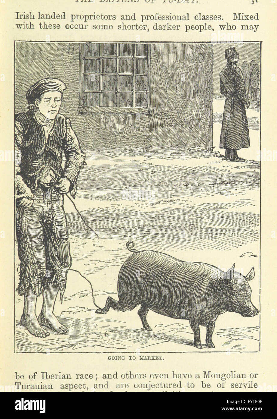 [The World's Inhabitants; or, Mankind, animals & plants ... With ... illustrations, etc.] Image taken from page 65 of '[The World's Inhabitants; or, Stock Photo