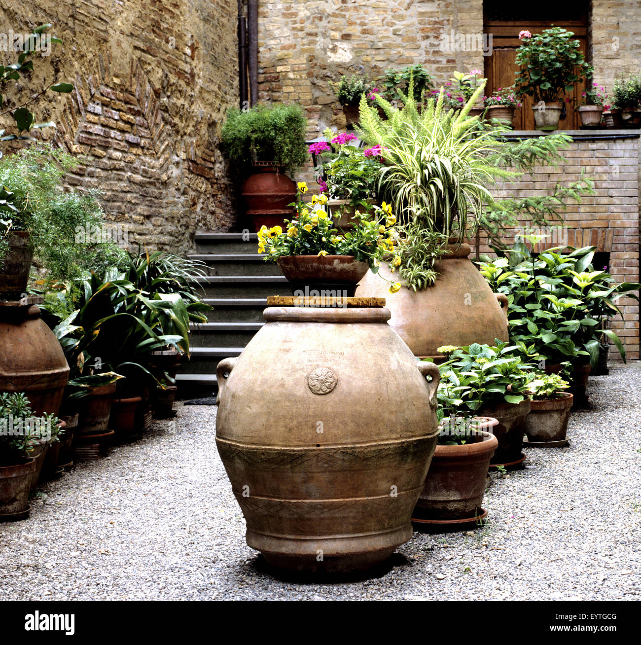 Hinterhofbegrünung, Hausbegrünung; Blumenfenster; Hinterhof Stock Photo