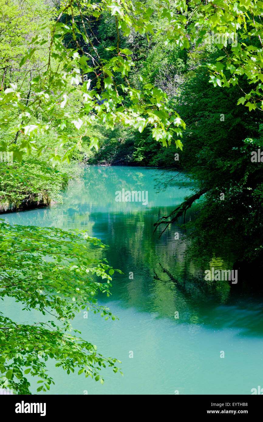 River Loue, near of the Louequelle, Franche-Comté, France Stock Photo