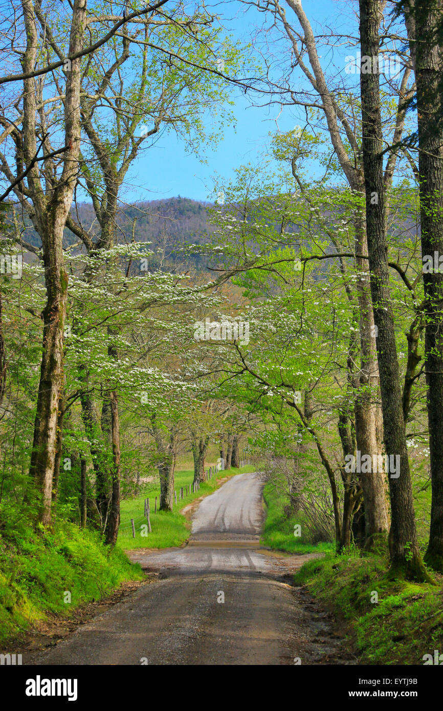 Sparks Lane, Cades Cove, Great Smoky Mountains National Park, Tennessee