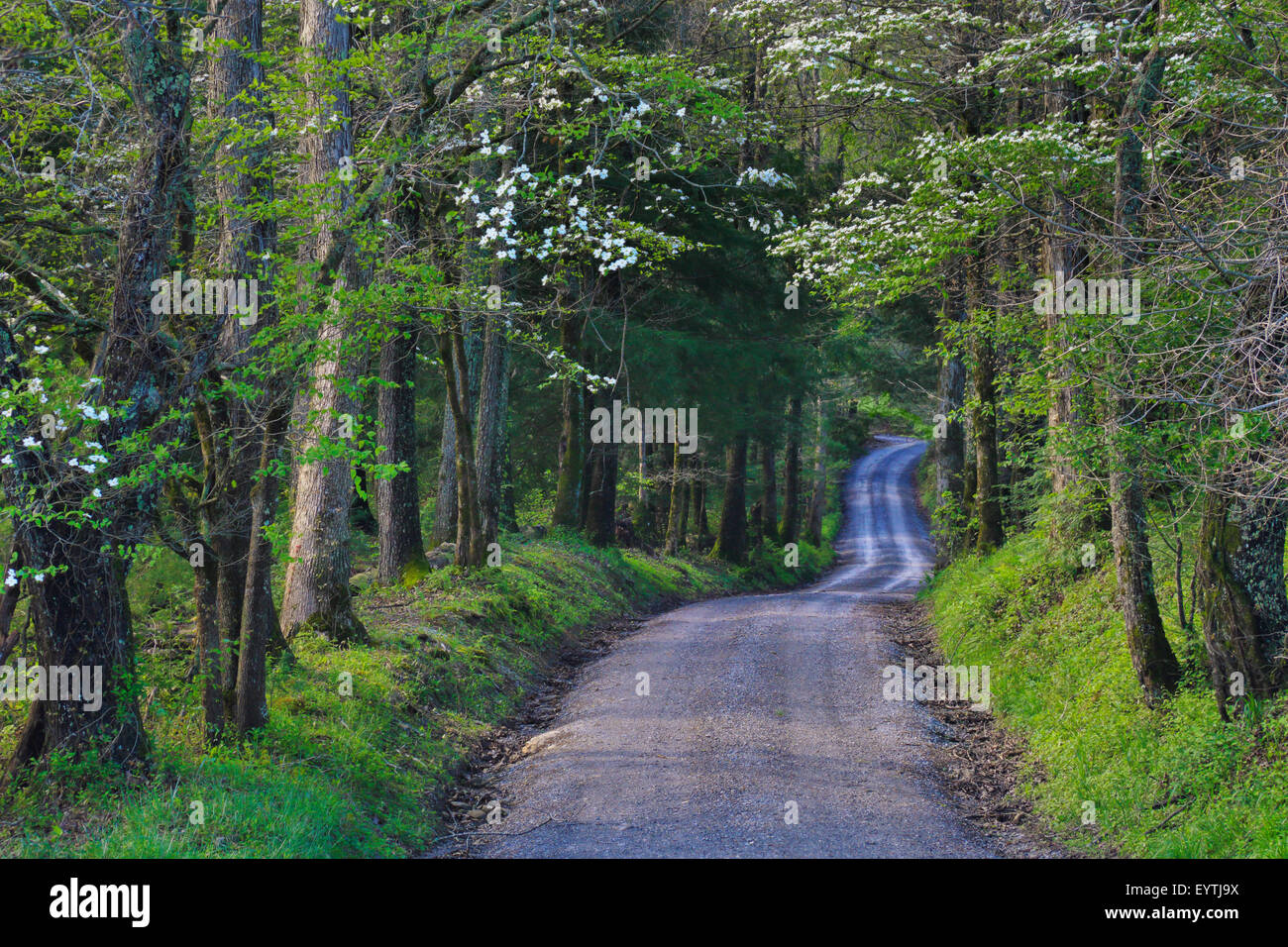 Sparks Lane, Cades Cove, Great Smoky Mountains National Park, Tennessee