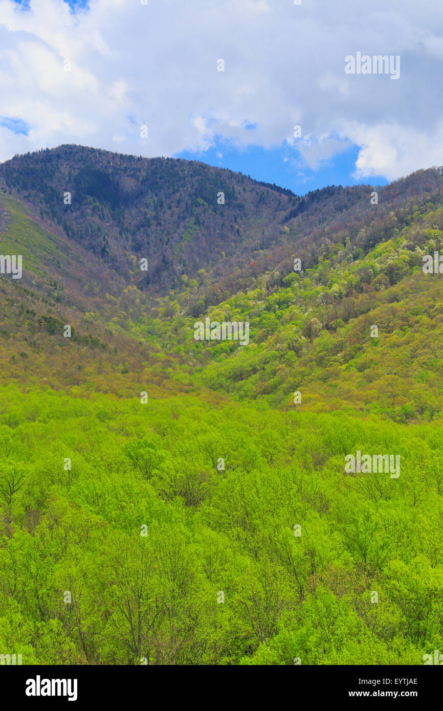 Campbell Overlook, Great Smoky Mountains National Park, Tennessee, USA ...