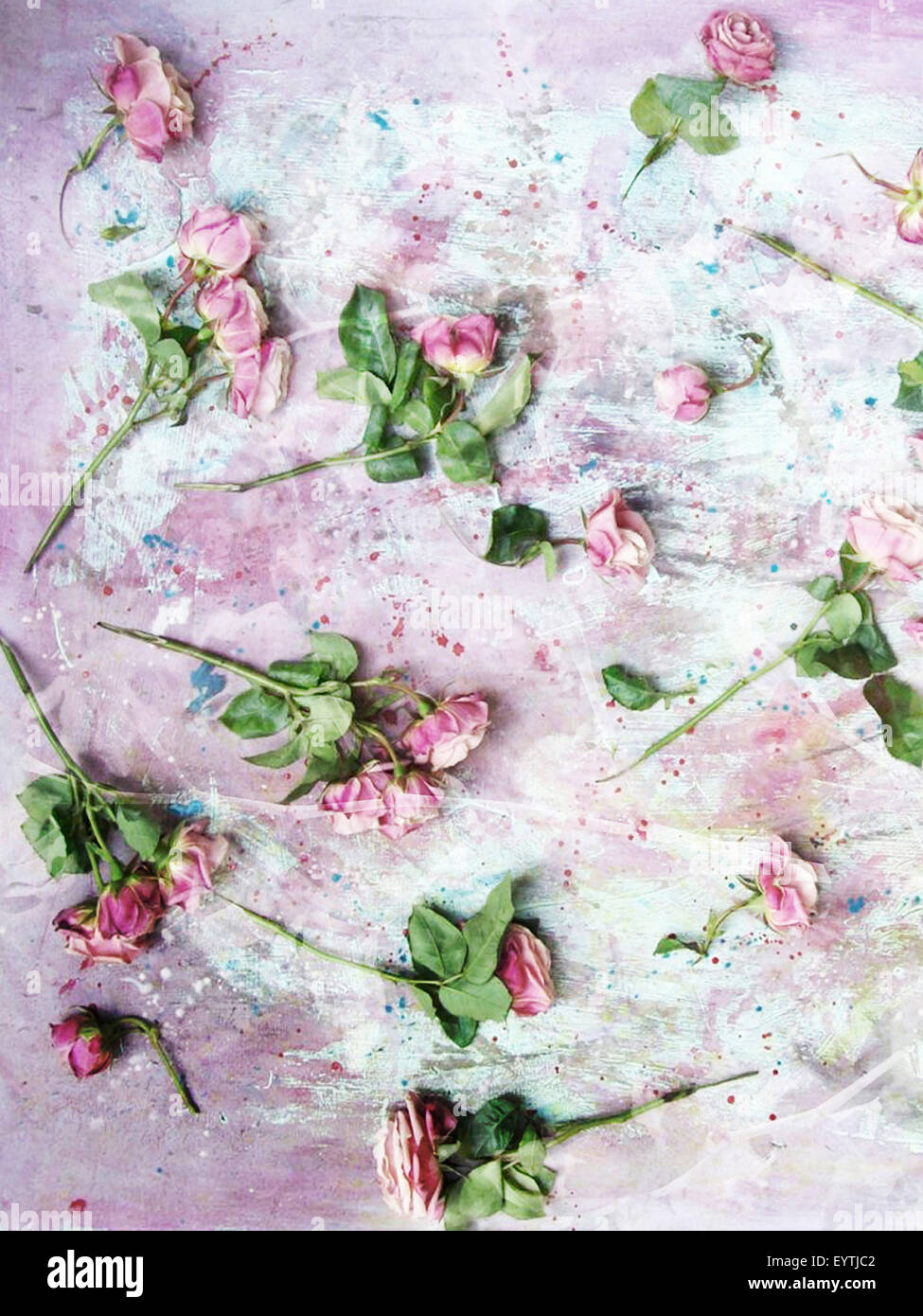 Texture Roses Painted poetic photomontage of pink roses on painted ground with textures of ...