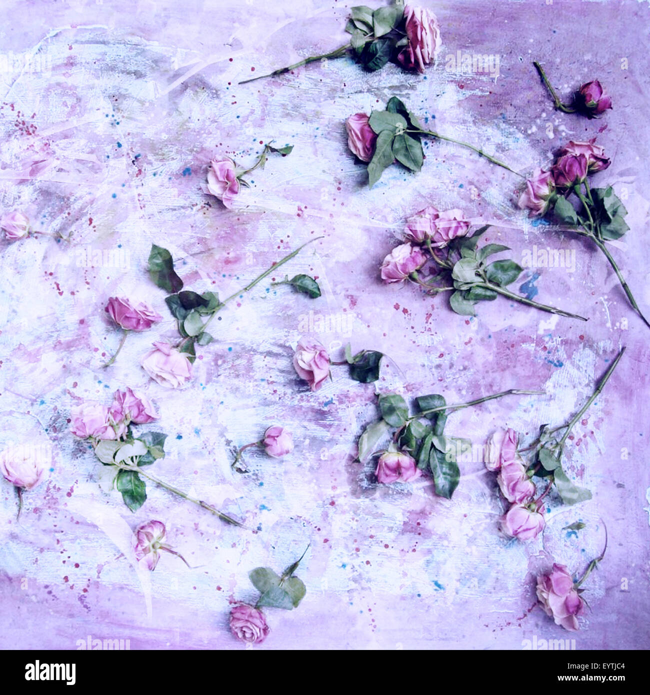 Texture Roses Painted poetic photomontage of pink roses on painted ground with textures of ...