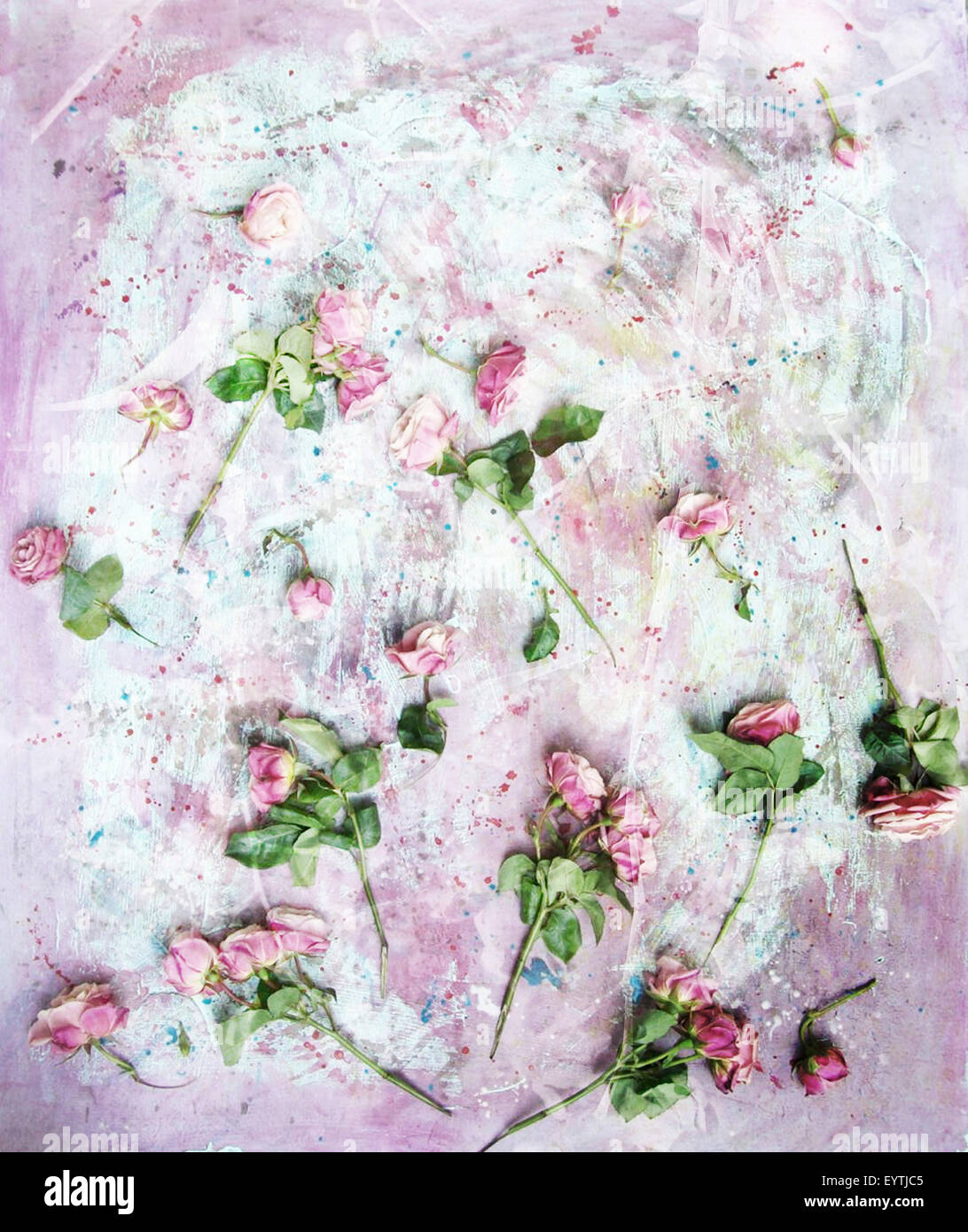 Texture Roses Painted poetic photomontage of pink roses on painted ground with textures of ...
