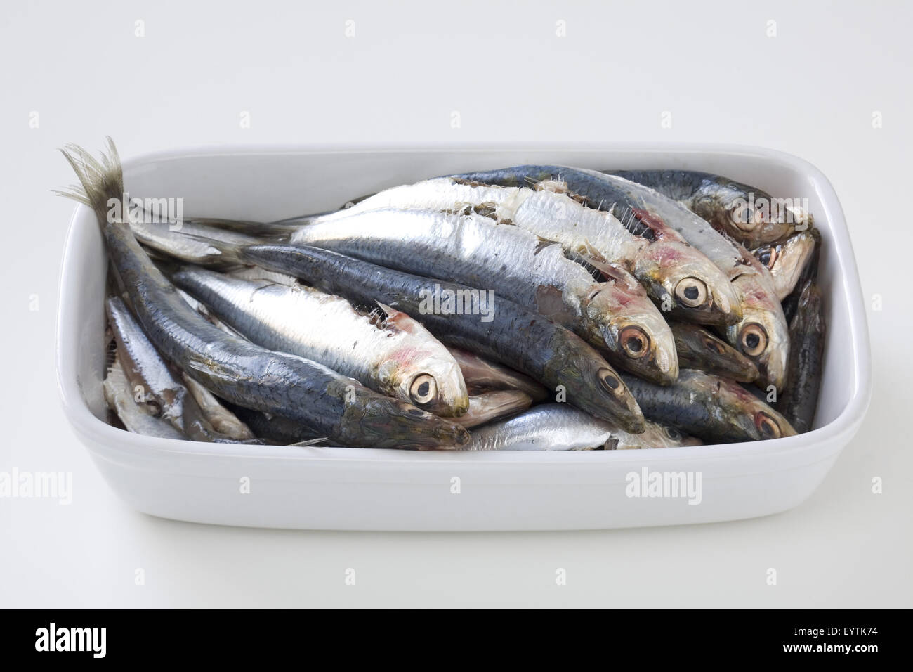 Sardines in porcelain dish Stock Photo