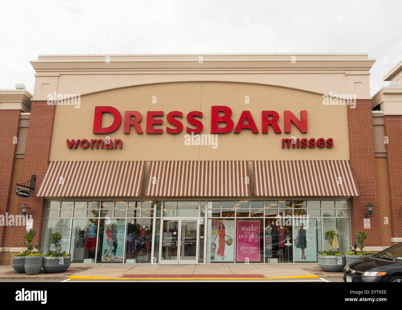 Awesome Photos Of Dress Barn Catalog Concept Loexta