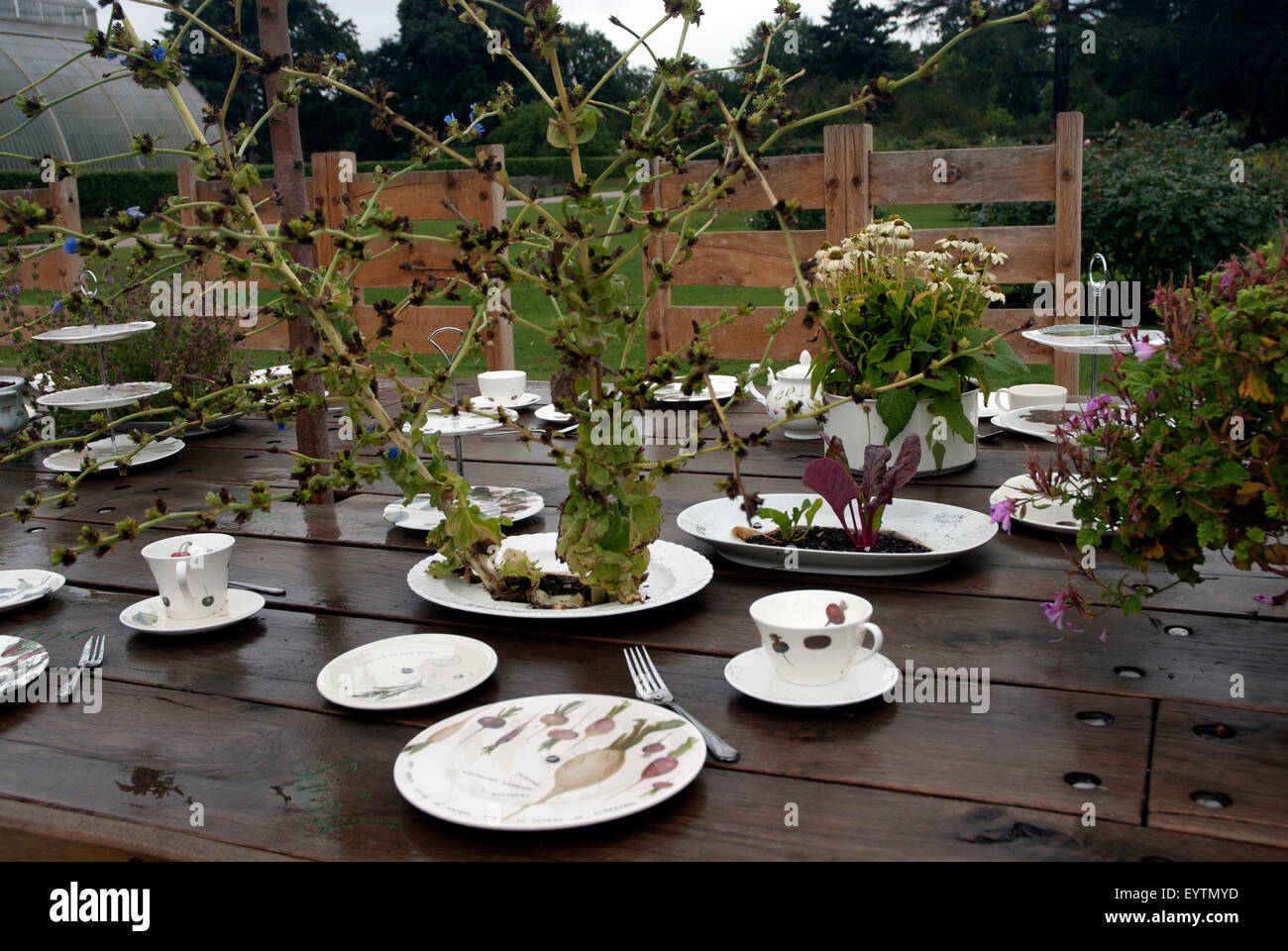 Garden display - tea party of herbs West London garden, England UK Stock Photo