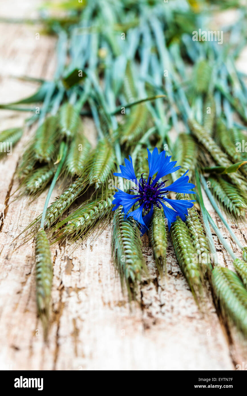 Arrangiertes Stillleben aus Naturmaterialien, Roggenähren und Kornblumen, Stock Photo