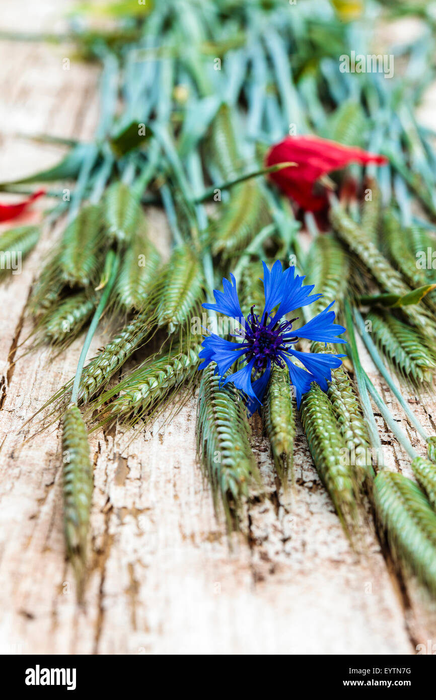 Arranged still life from natural materials, rye ears, cornflower Stock