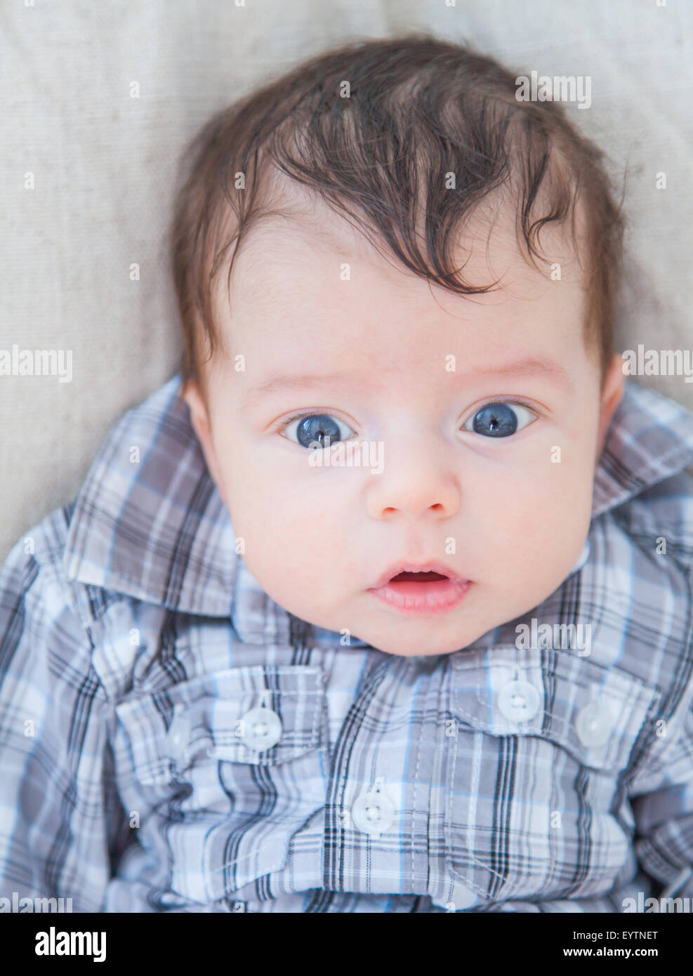 Portrait of a 2 months old baby boy at home Stock Photo - Alamy