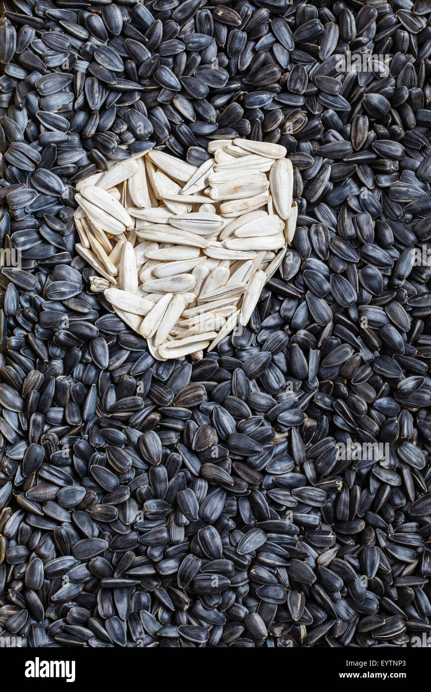 unpeeled sunflower seeds, arrangement in heart form Stock Photo Alamy