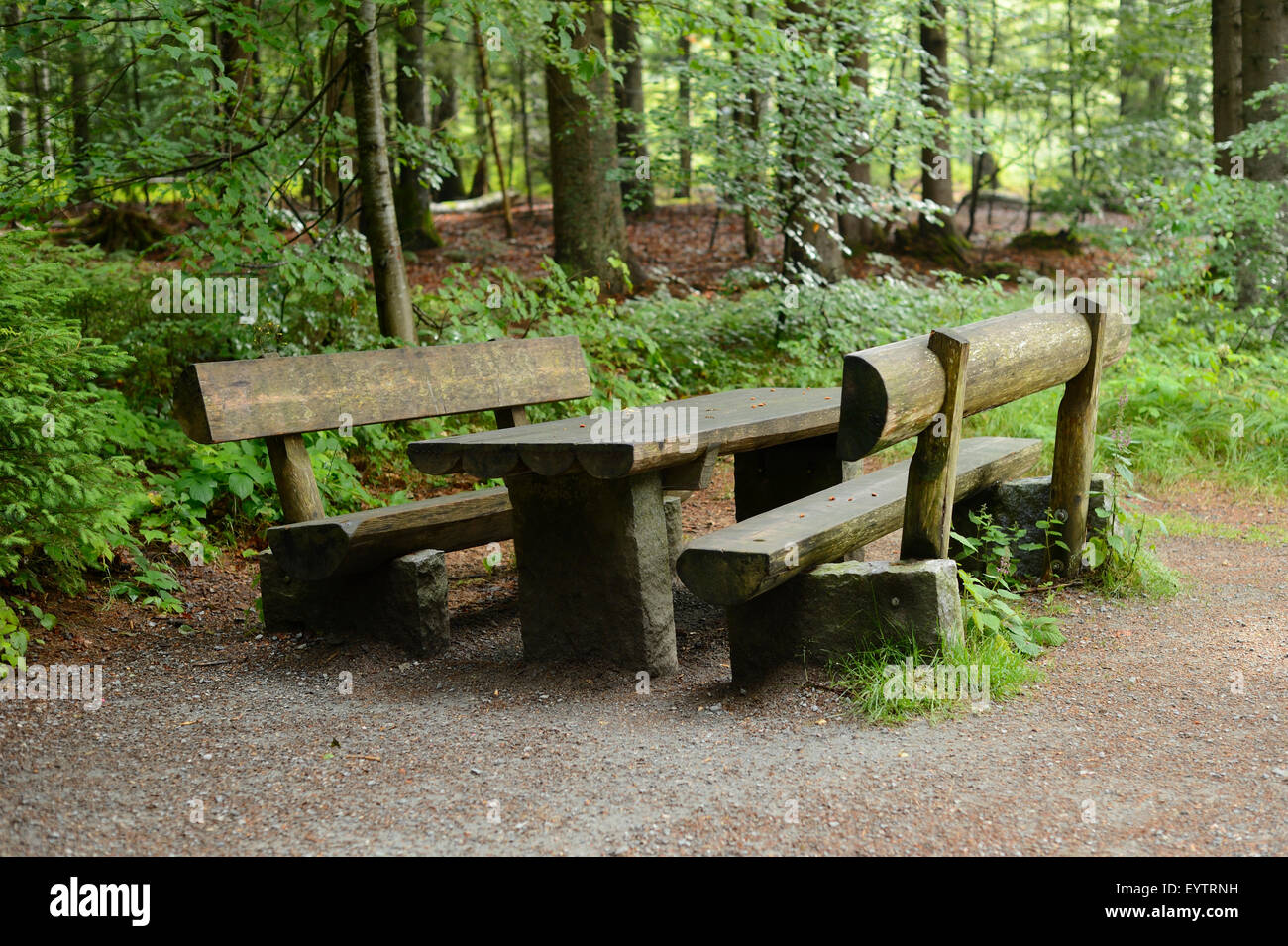 Scenery, park benches, table, standing, wood Stock Photo Alamy