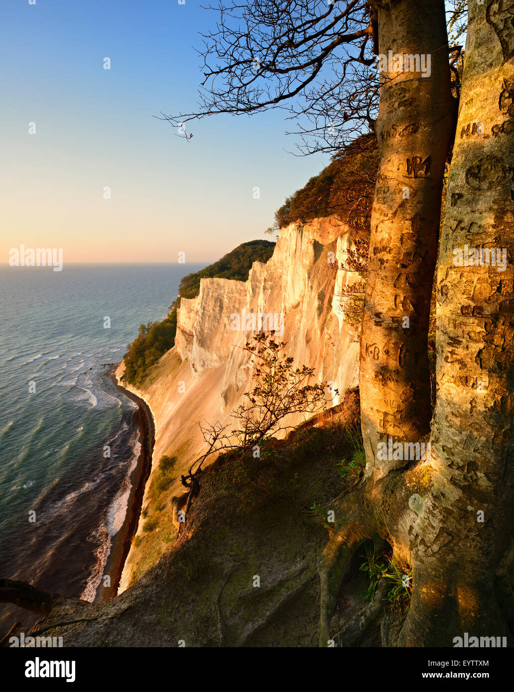 Denmark, island Møn, The chalk rocks of Møns Klint in the morning light Stock Photo Alamy