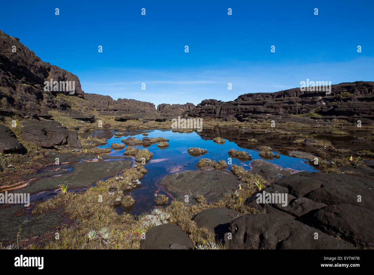 Landscape at the top of Mount Roraima in the morning with blue sky