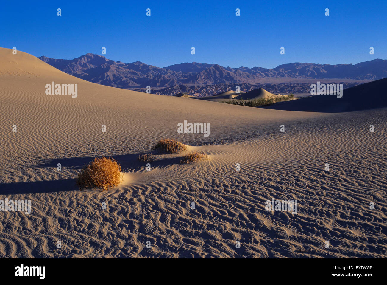Sandy dunes at Death Valley Stock Photo