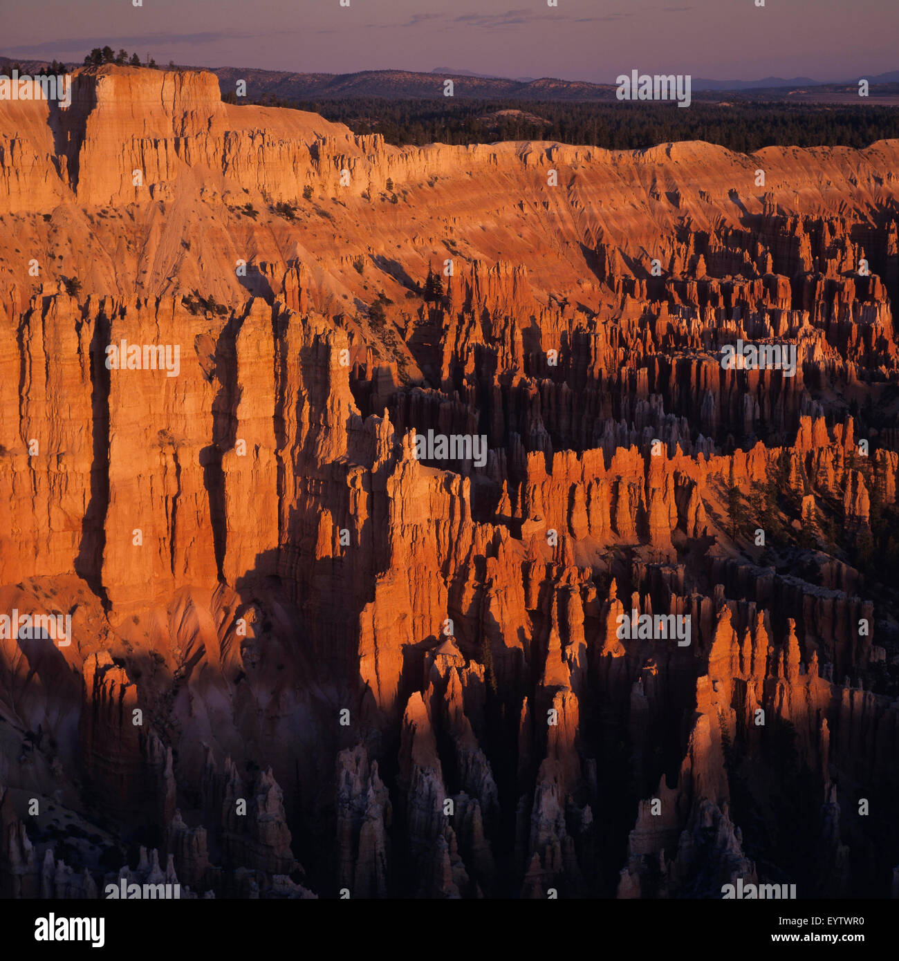 Bryce Point, Bryce Canyon Stock Photo - Alamy