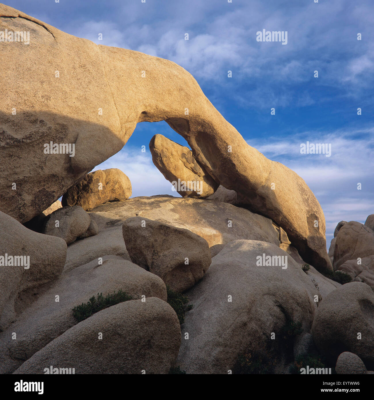Statue In Joshua Tree Stone sculptures, Joshua Tree Nationalpark Stock Photo - Alamy