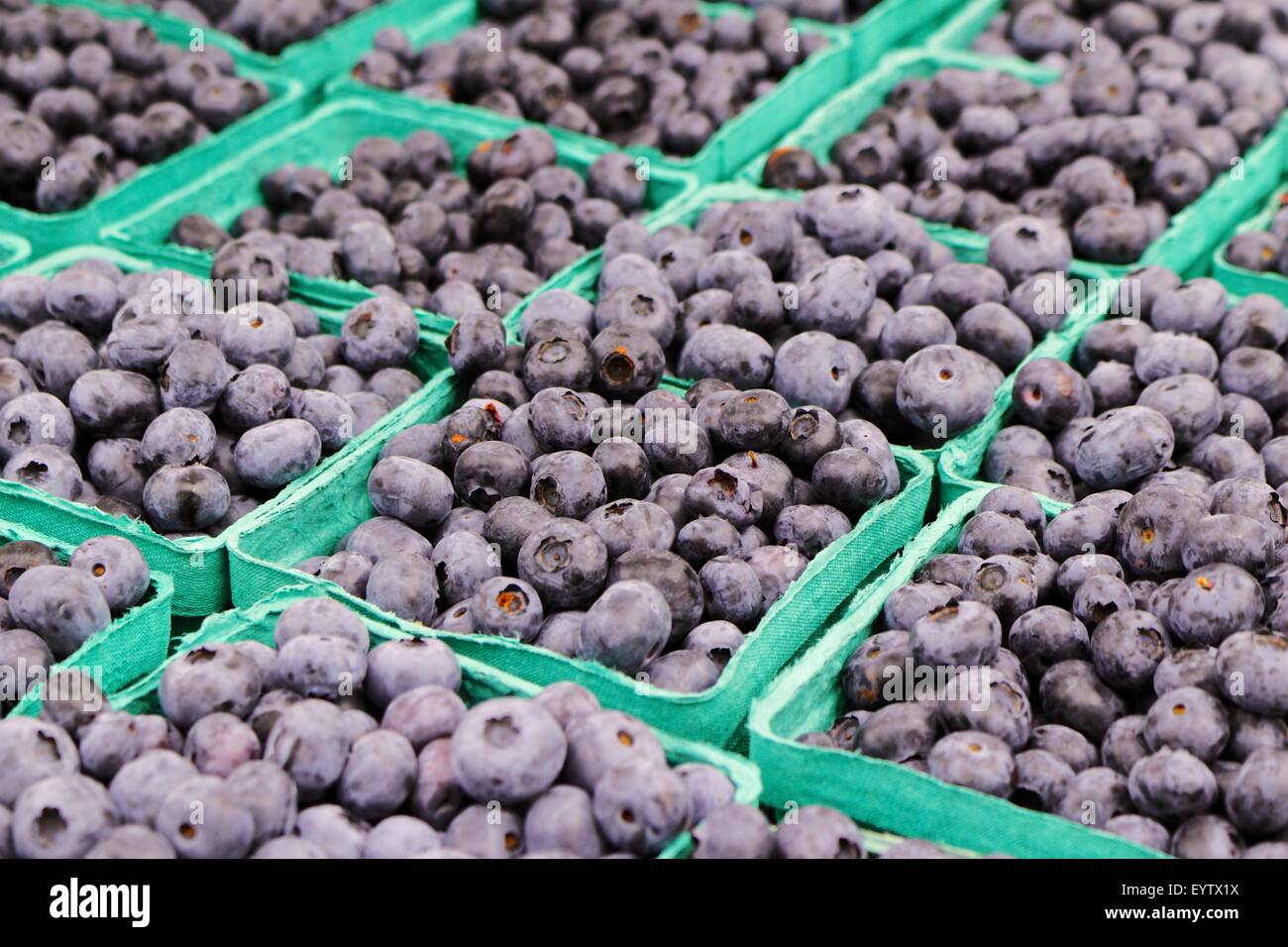 Blueberry pint hires stock photography and images Alamy