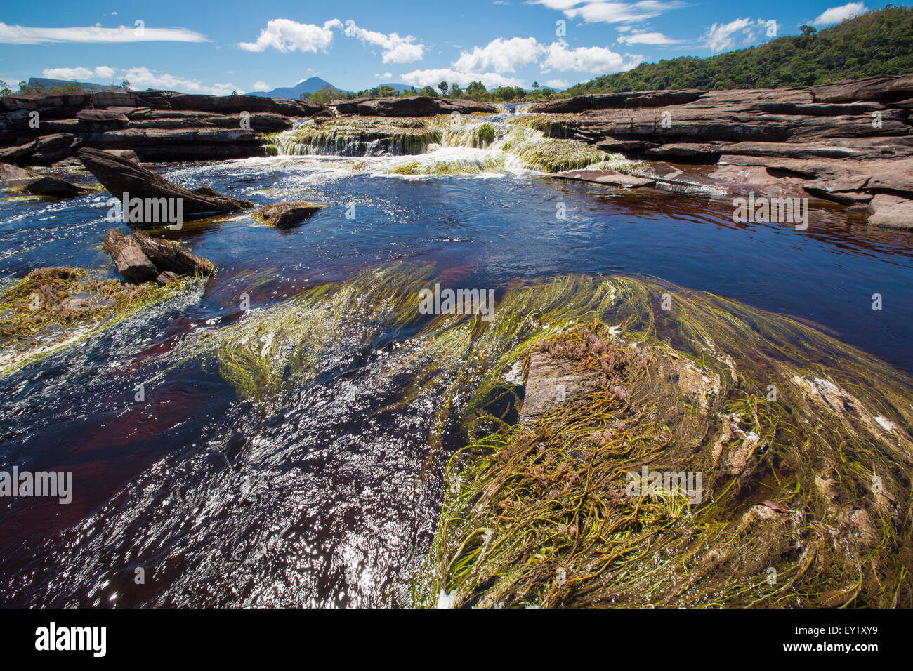 Beautiful Waterfall in the Canaima Lagoon, Canaima National Park, Venezuela, South America 2015 Stock Photo