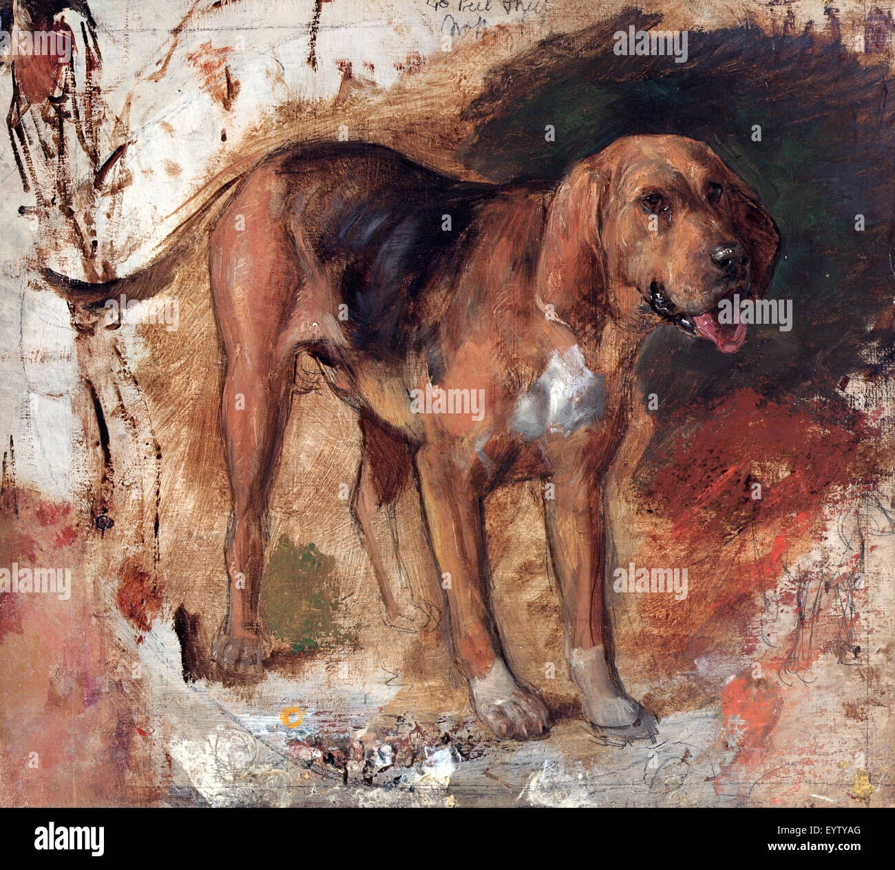 Holman Hunt, Study of a Bloodhound 1848 Oil over pencil on board. Art Gallery of New South Wales, Australia. Stock Photo