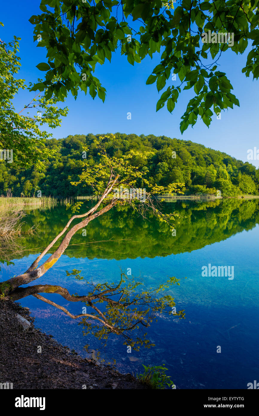 Plitvice Lakes National Park is one of the oldest national parks in Southeast Europe and the largest national park in Croatia. Stock Photo