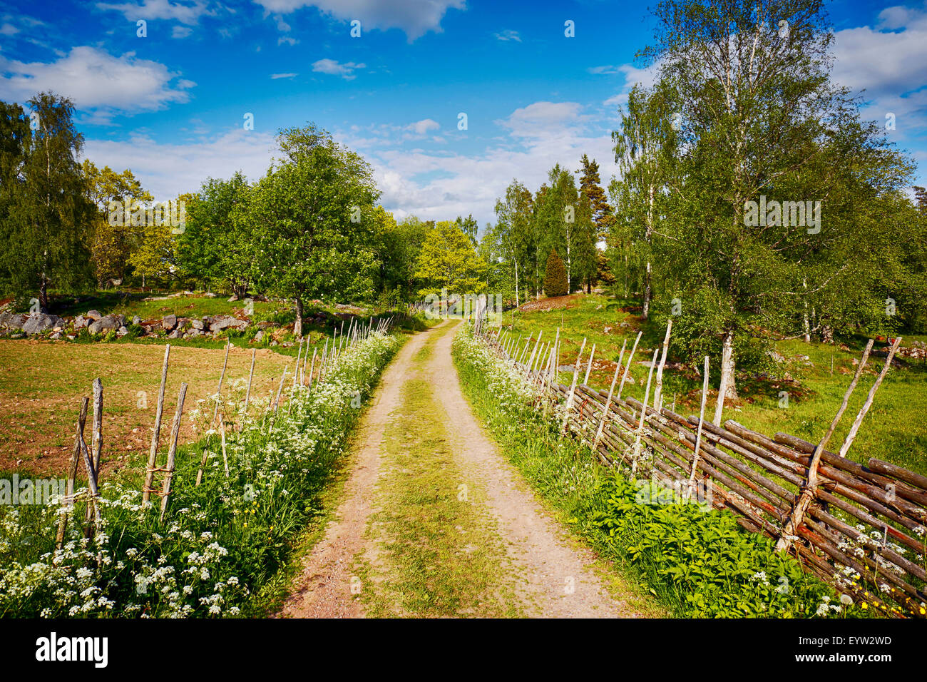 old rural landscape with wooden fences Stock Photo - Alamy